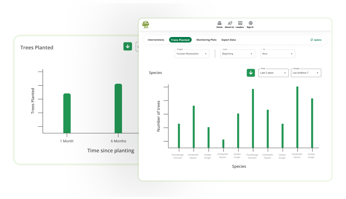 Data explorer by Plant-for-the-Planet