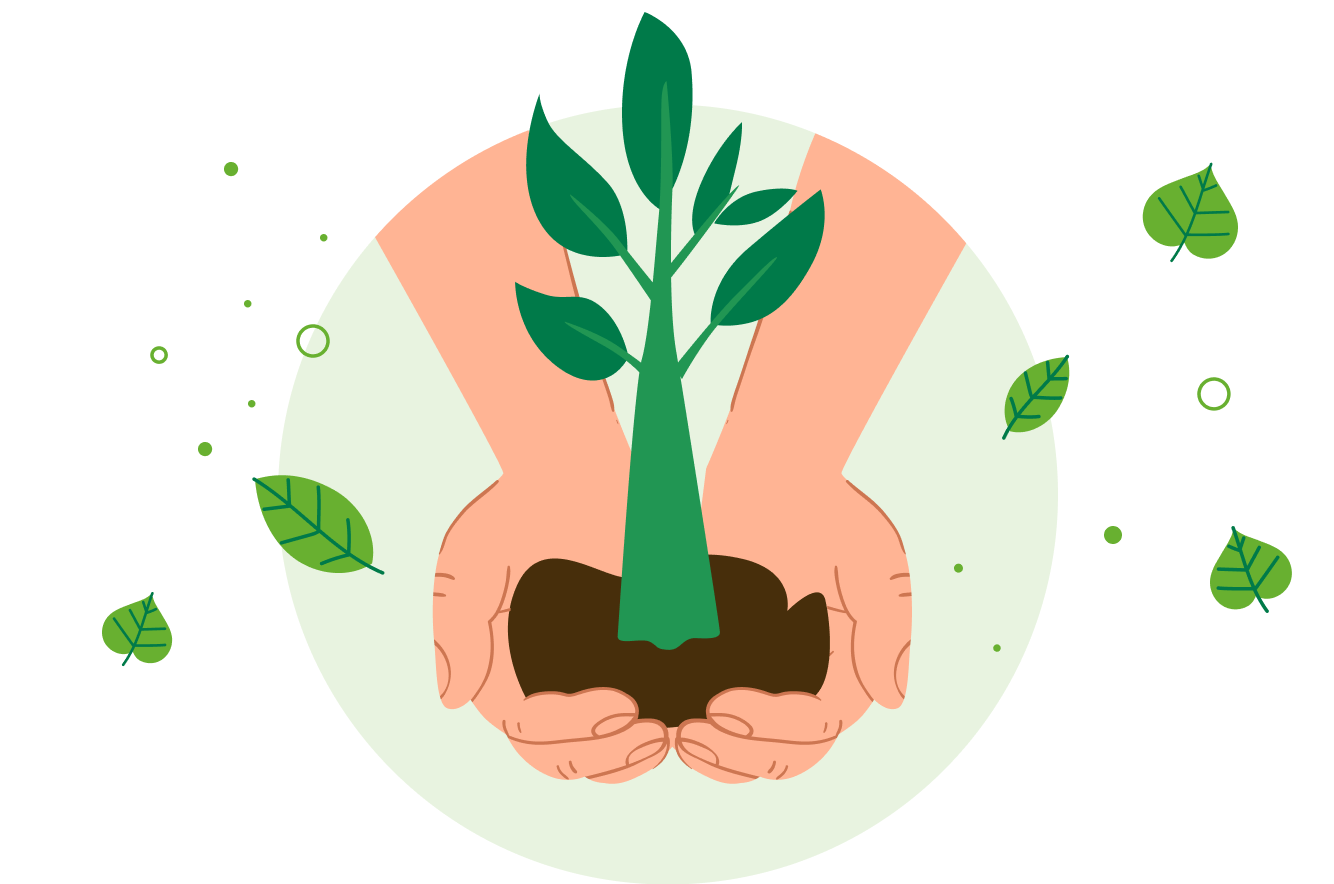 Restoration Advice Illustration