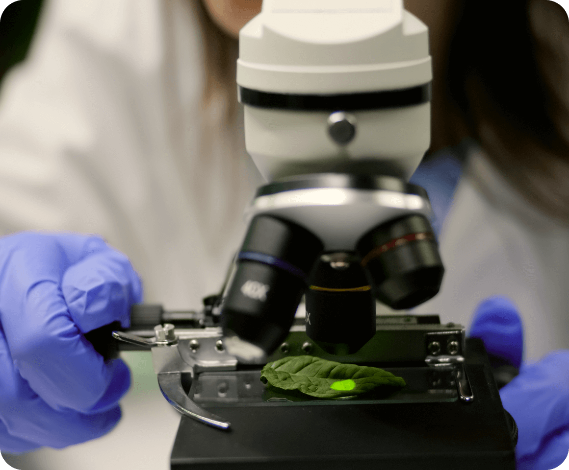 Restoration Research by Plant-for-the-Planet