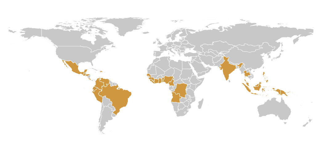 Palm Oil trade on the world map