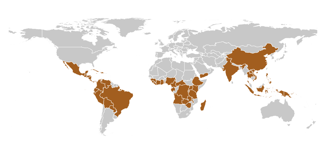 Coffee plantation on the world map