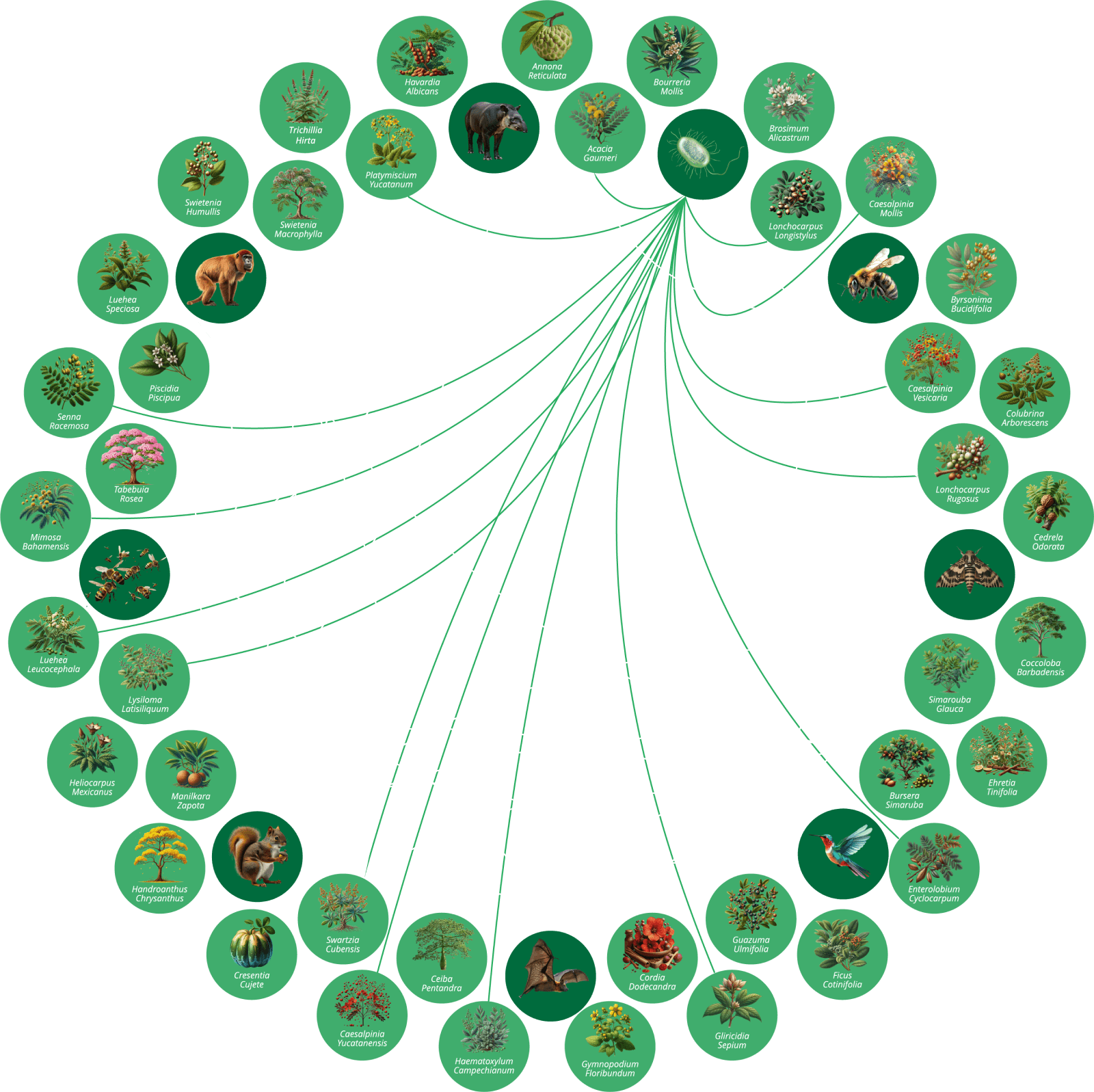 Our Ecosystem by Planet for the Planet