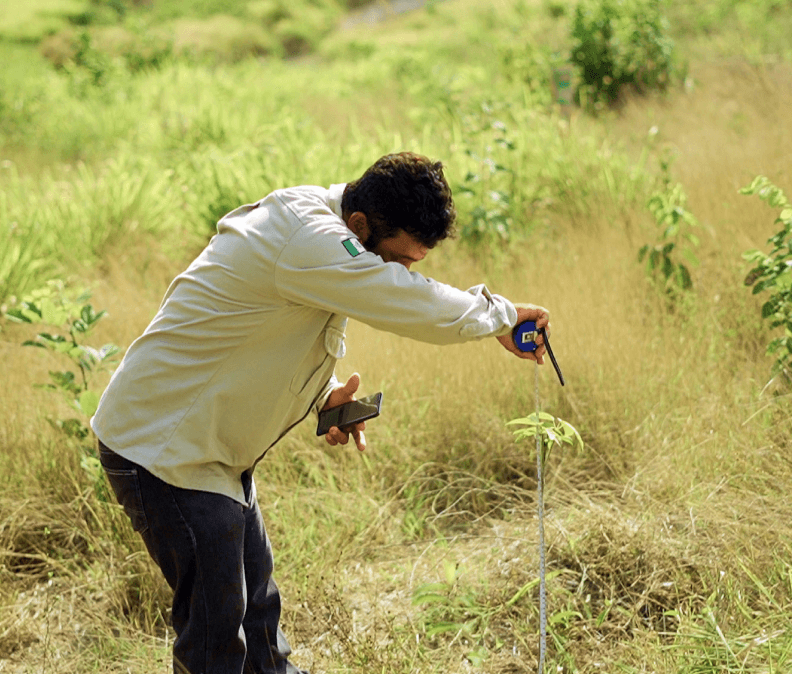 Monitoring Seeds by Plant for the Planet