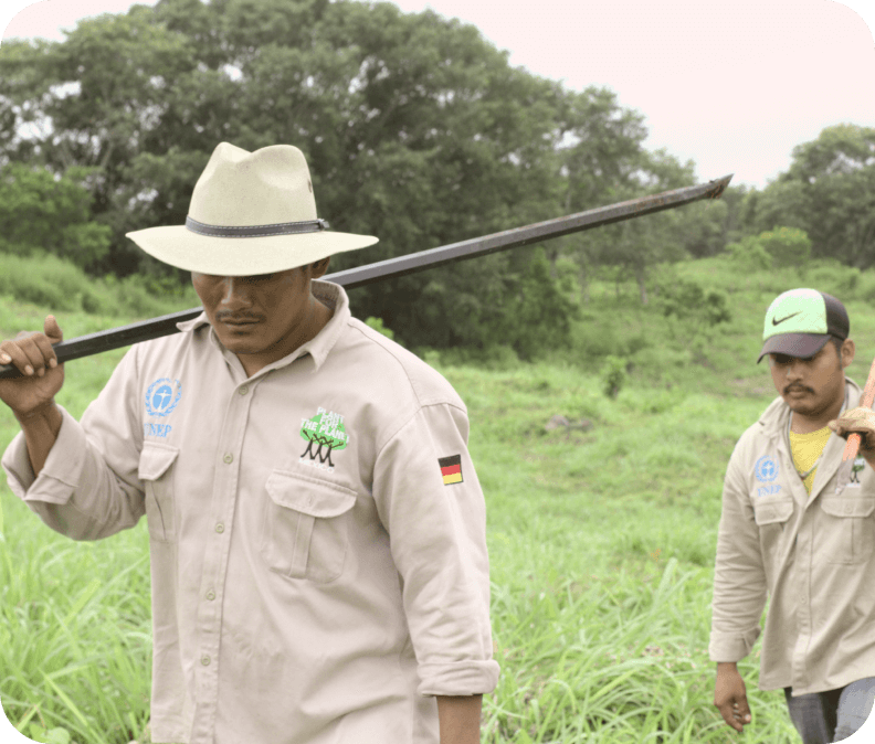 Protecting Seeds by Plant for the Planet
