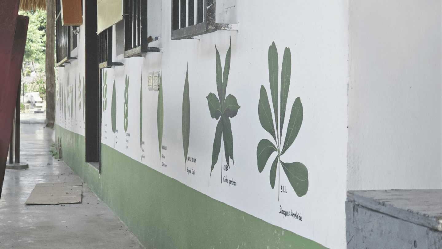 Plant wall painting by Plant for the Planet