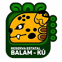 balam ku logo by Plant for the Planet