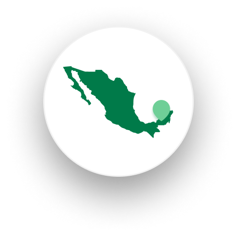 Map of Mexico by Plant for the Planet
