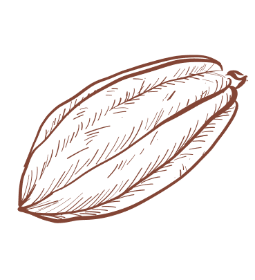 Cocoa bean by Plant for the Planet