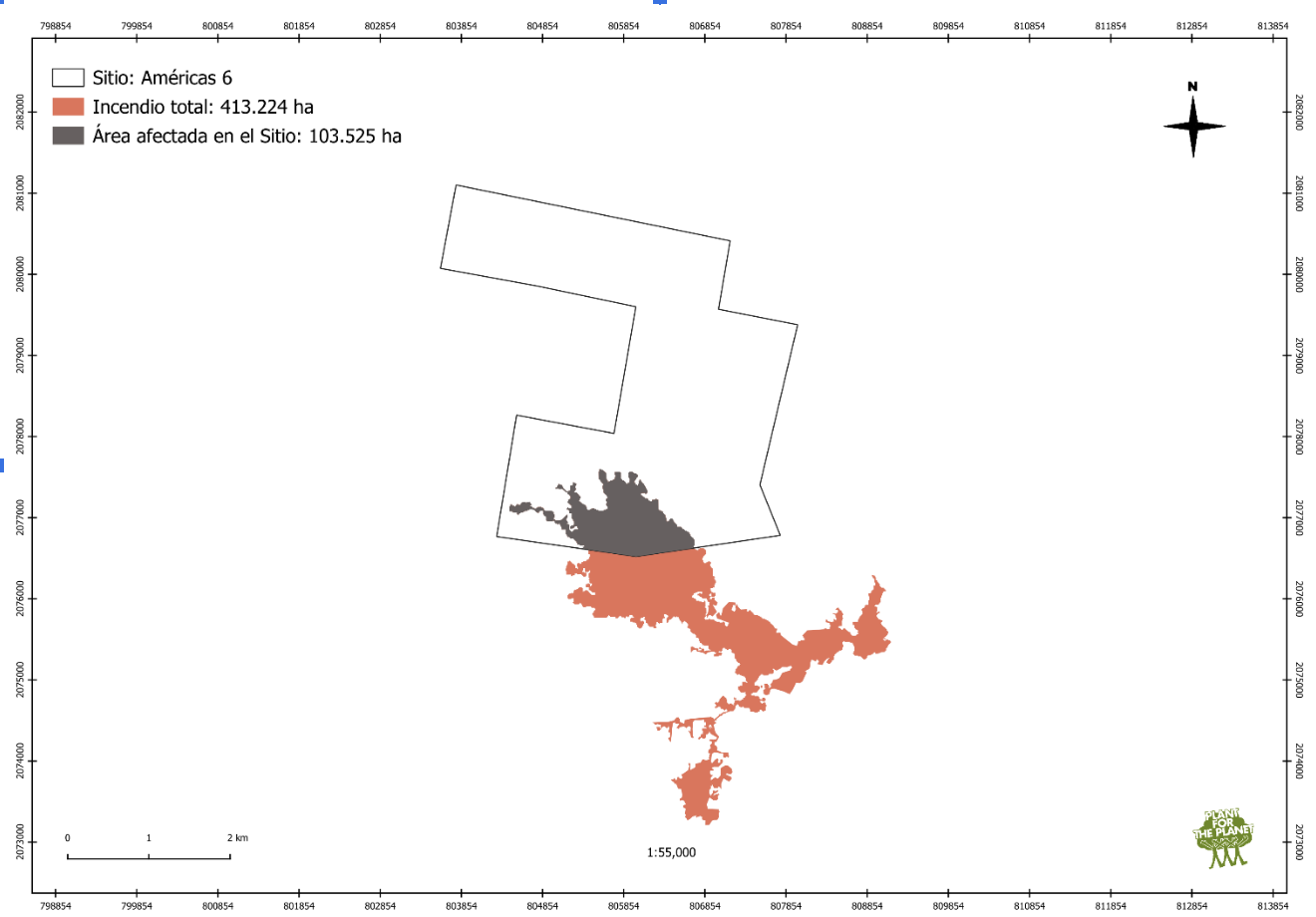 Las Americas 6 Fire area by Plant for the Planet