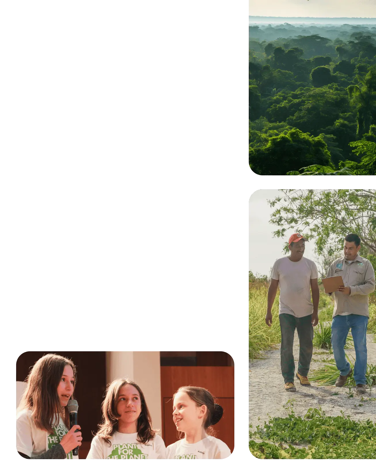 Image collage by Plant for the Planet.