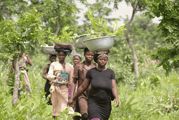 International family-Ghana by Plant for the Planet