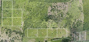 Restoration Research Background by Plant for the Planet
