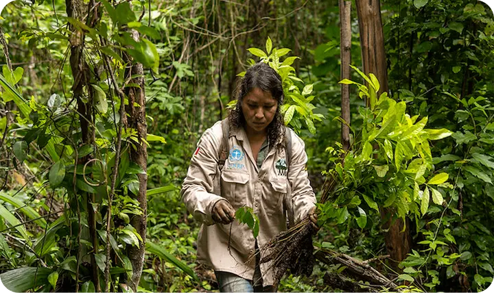 Nusery worker planting by Plant for the Planet