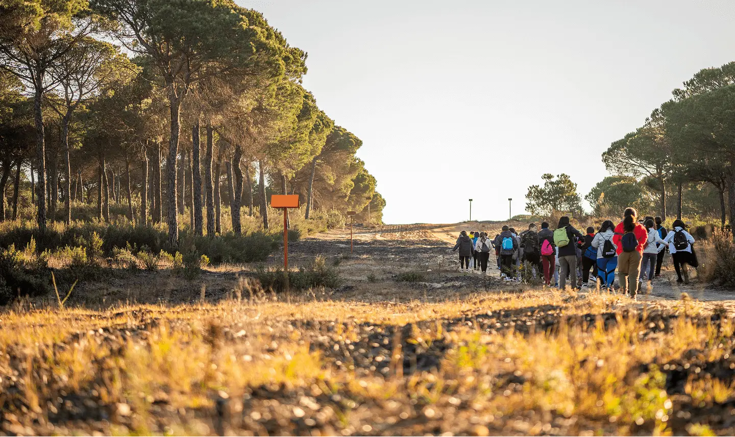 Spain Tab BG by Plant for the Planet