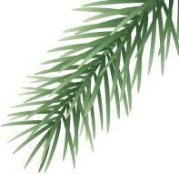 Leaf Bg by Plant for the Planet