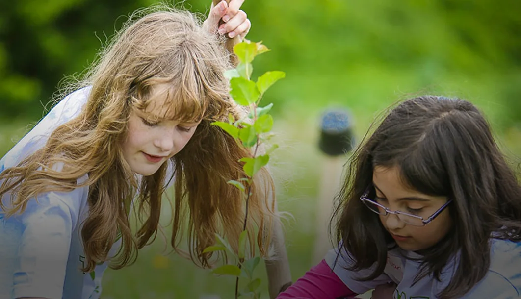 Young tree growing at restoration site by Plant-for-the-Planet.
