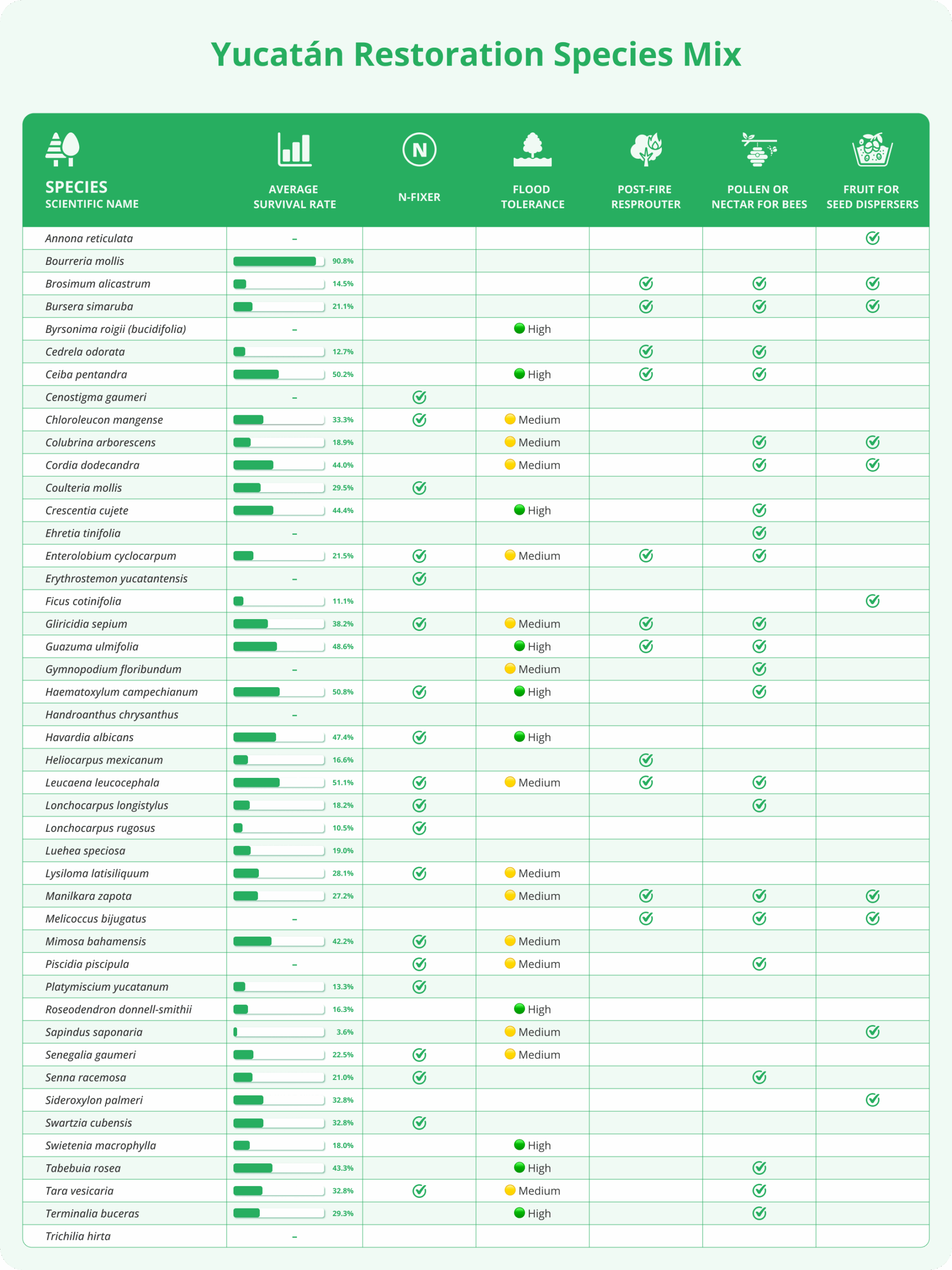 Yucatan_species_2025_EN by Plant for the Planet