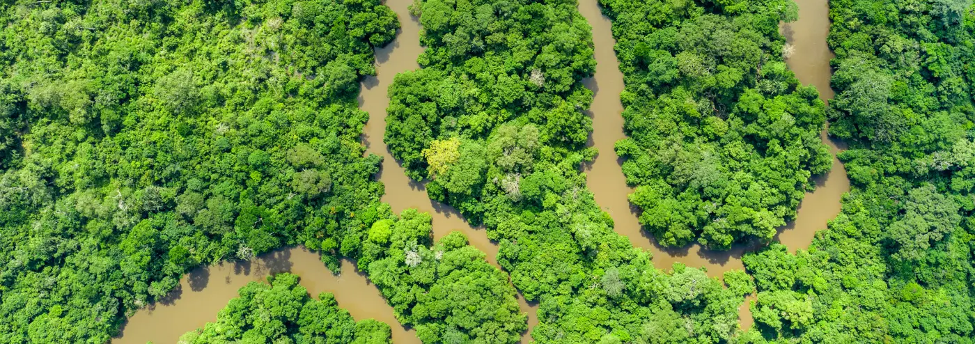 Aerial view of winding river through forest by Plant-for-the-Planet.