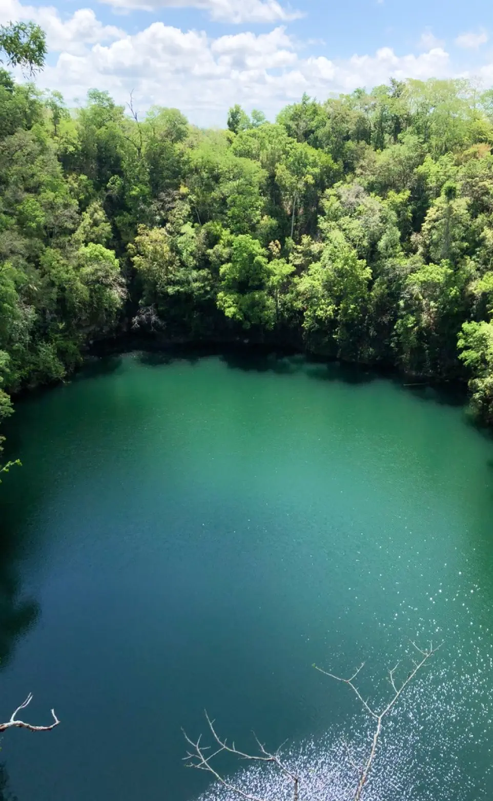 Forest surrounding a clear green lake by Plant-for-the-Planet.