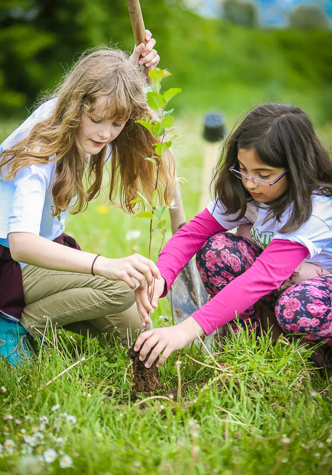 Ambassadors planting a young tree together by Plant-for-the-Planet.
