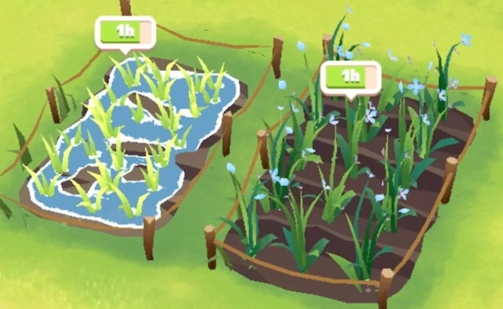 Grow crops for food Preview by Plant-for-the-Planet