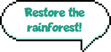 Restore the rainforest by plant-for-the-Planet