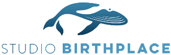 Studio Birthplace blue logo