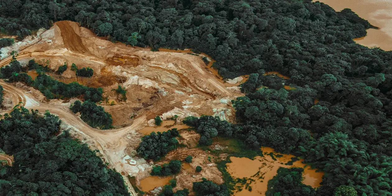 Deforested area beside rainforest landscape by Plant-for-the-Planet