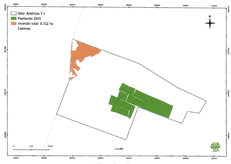 Incident Map Las Americas 7.1 by Plant-for-the-Planet