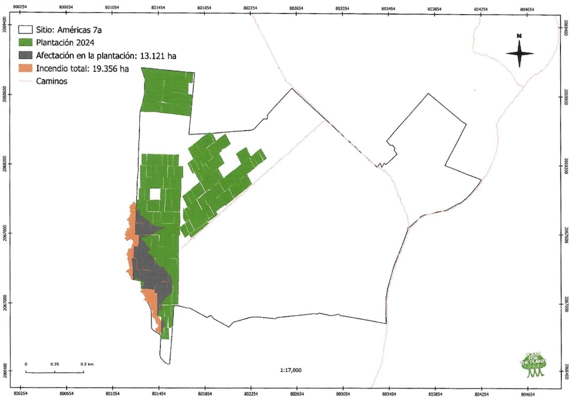 Incident Map Las Americas 7a by Plant-for-the-Planet