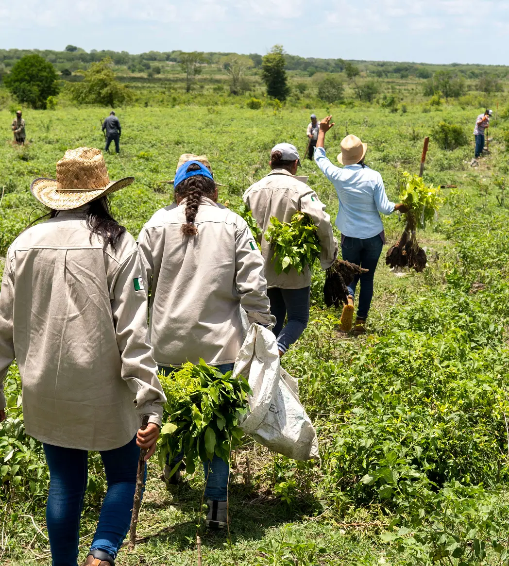 Restoration team planting trees by Plant-for-the-Planet