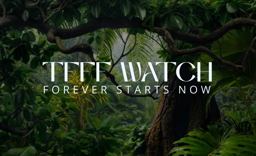 TFFF watch cover image by Plant-for-the-Planet