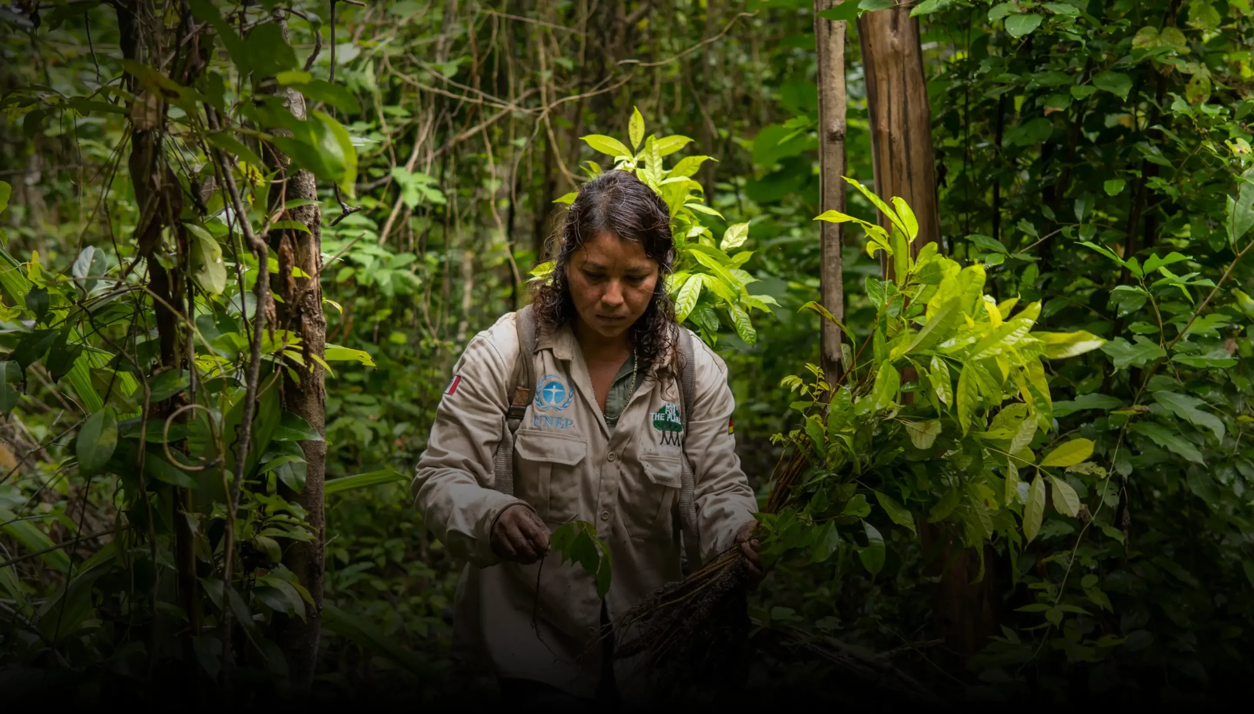 Forest restoration worker carrying out ecological monitoring by Plant-for-the-Planet