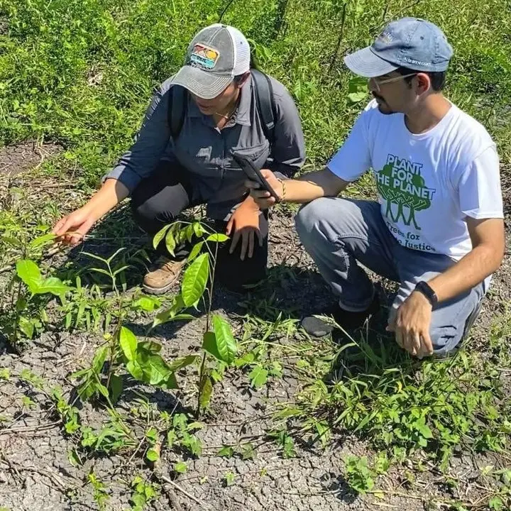 Prem raval restoration seedling monitoring field mexico by Plant-for-the-Planet