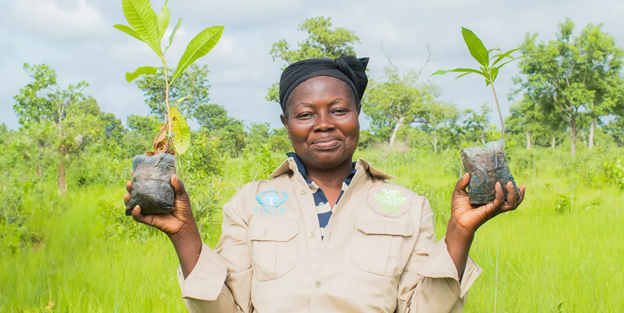 Ghana restoration helper holding plants by Plant-for-the-Planet