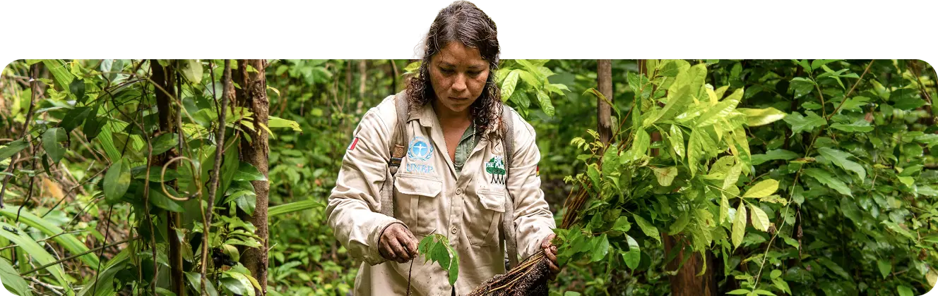 Restoration helper planting trees by Plant-for-the-Planet