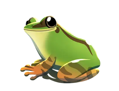 Hoses Frog by Plant-for-the-Planet