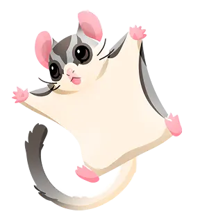 Sugar Glider by Plant-for-the-Planet